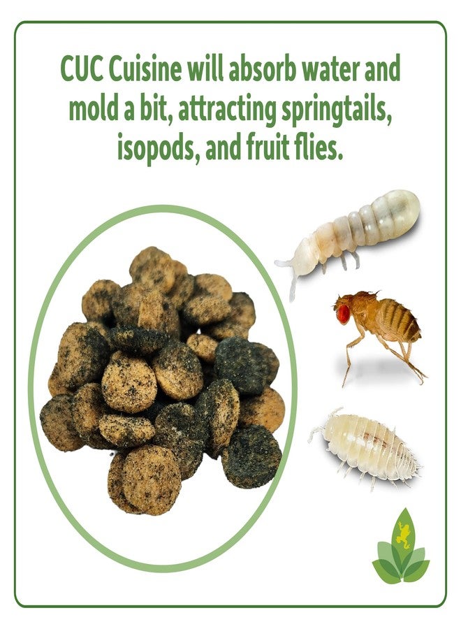 Josh's Frogs Clean Up Crew Cuisine (2.75 oz) - Image 3